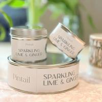Pintail Candles Sparkling Lime & Ginger Paint Pot Candle Extra Image 3 Preview